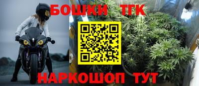 прущие грибы Нальчик