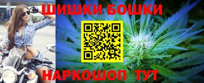 прущие грибы Нальчик